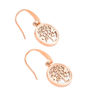 Picture of The Pearl of the Tree of life earrings(Stainless steel)