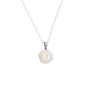 Picture of JM Holy Spirit Fruit Round Necklace (Stainless Steel)