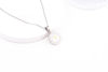 Picture of JM Holy Spirit Fruit Round Necklace (Stainless Steel)