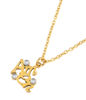 Picture of JM Amen with CZ Necklace (Stainless Steel)