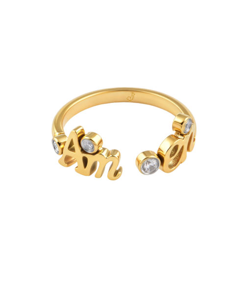 Picture of JM Amen with CZ Ring (S. Steel)